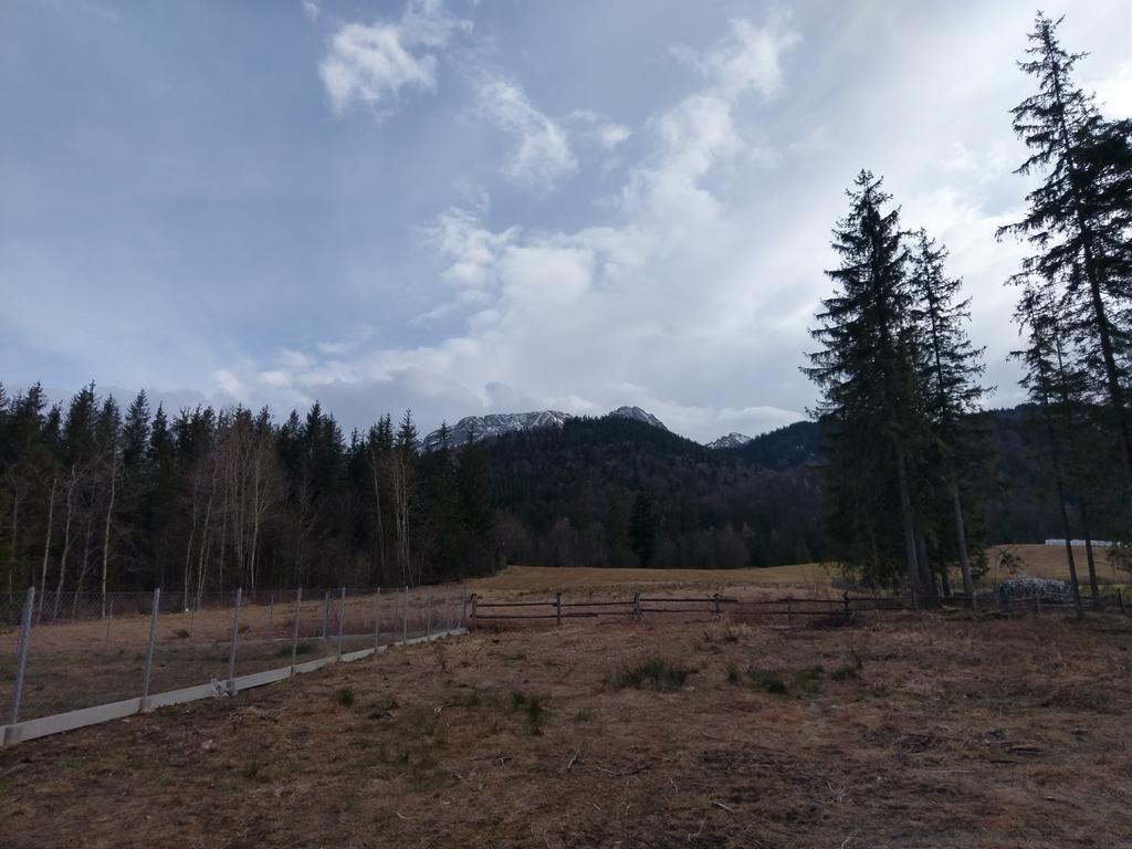 Apartamencik Z Widokiem Na Giewont Zakopane Bagian luar foto