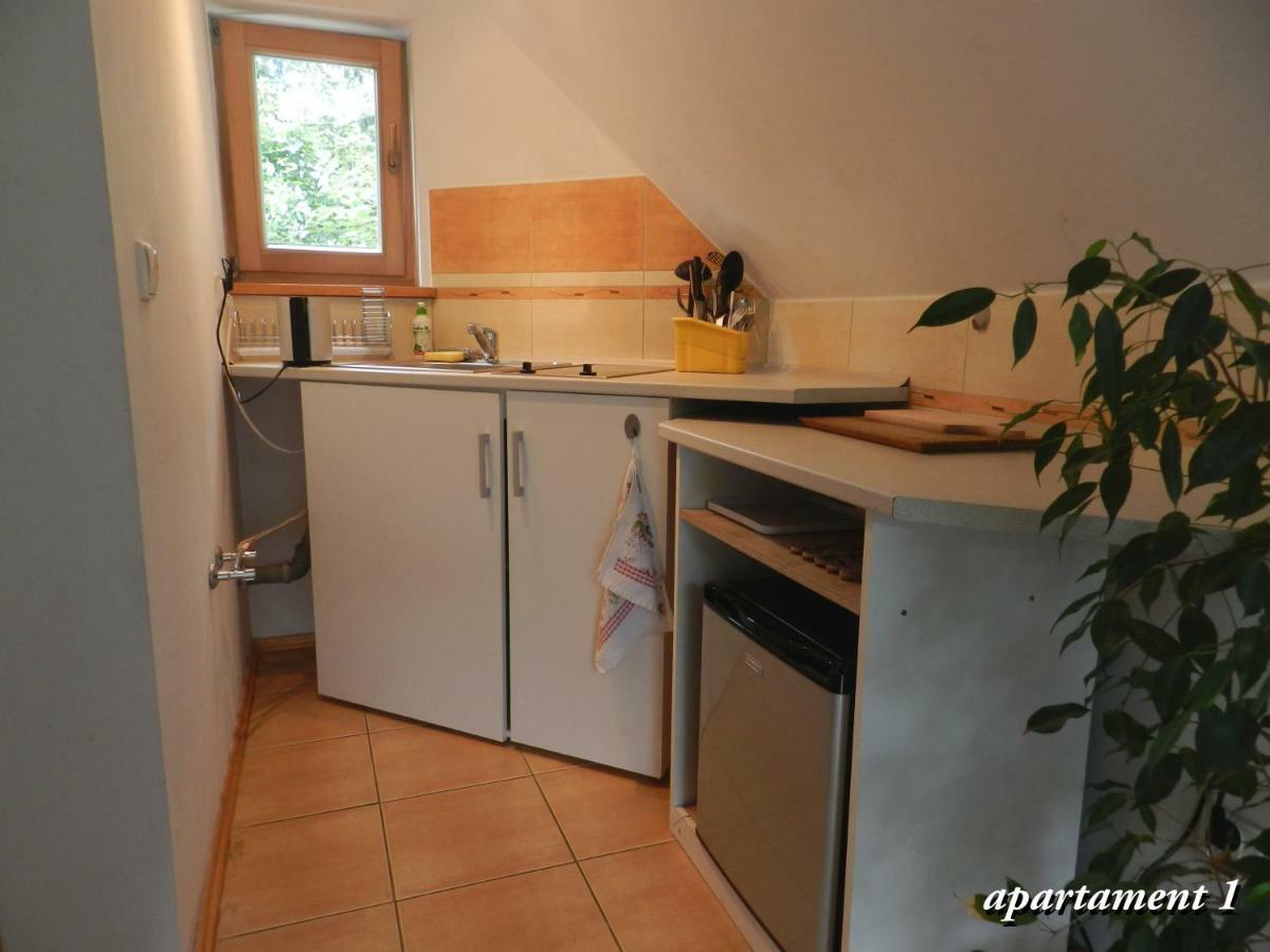 Apartamencik Z Widokiem Na Giewont Zakopane Bagian luar foto